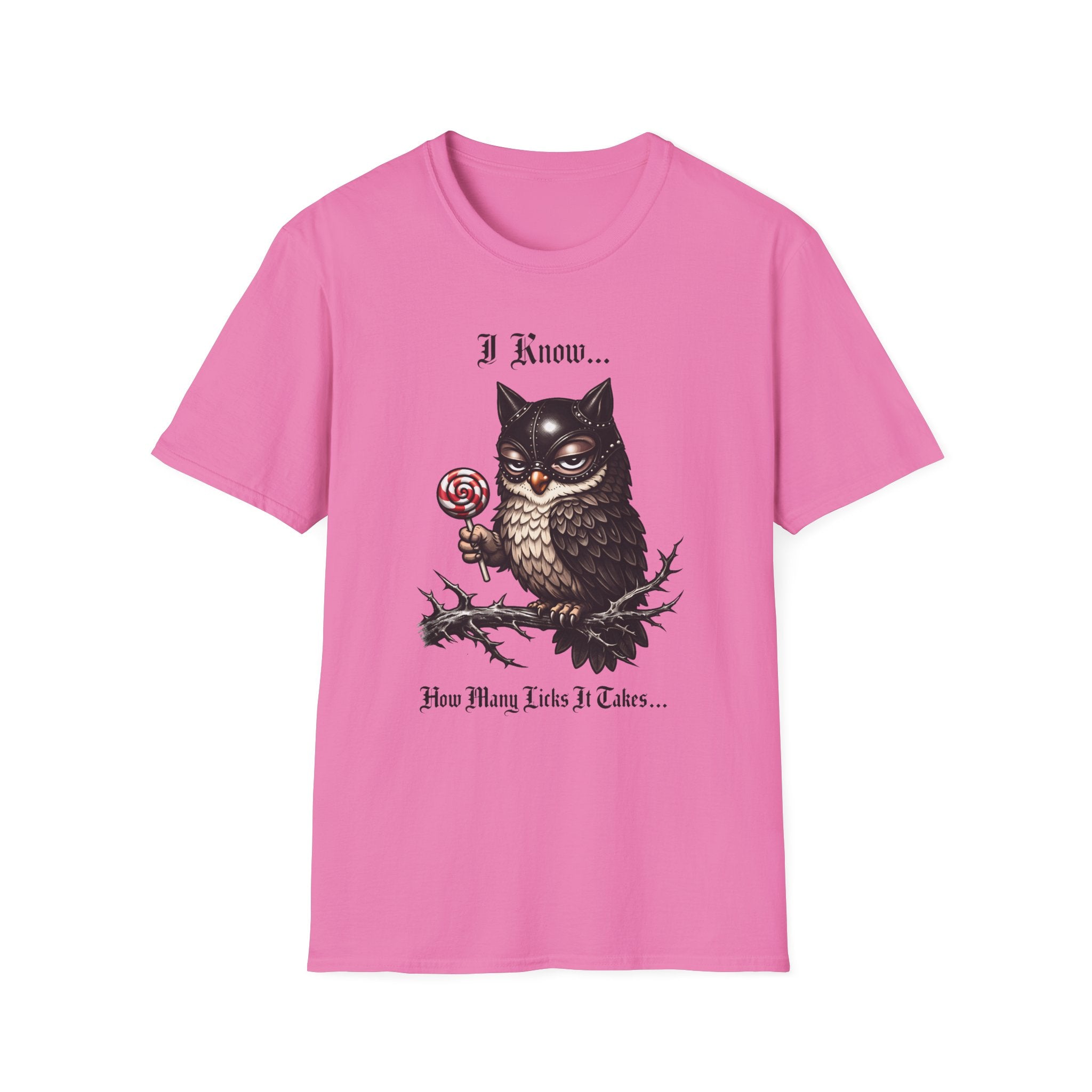 I Know How Many Licks It Takes T-Shirt